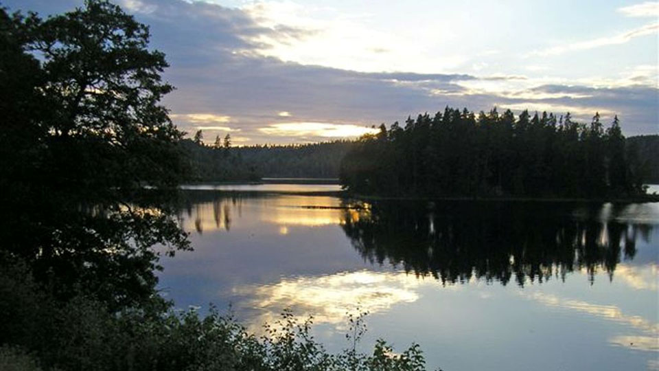I Svanskog finns många fina sjöar och sjösystem som Mellan-Svan, Öster-Svan och Väster--Svan