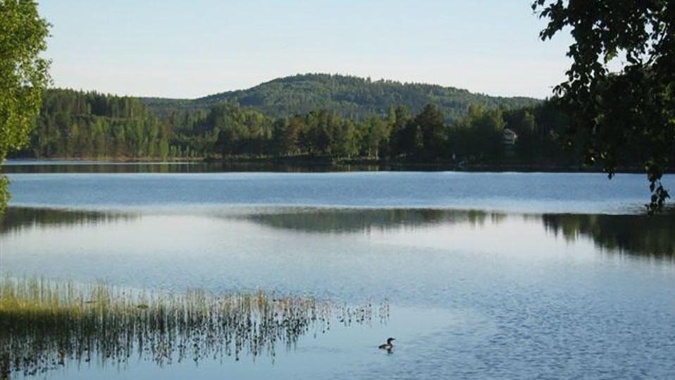 Här ses vy över sjön Mellan-Svan en vacker och solig dag, i bakgrunden sticker åsen Hallandaknatten upp. Svansjöarnas FVO ligger i det natursköna sydvästra Värmland och omfattar bland andra Väster-Svan, Mellan-Svan och Öster-Svan. 