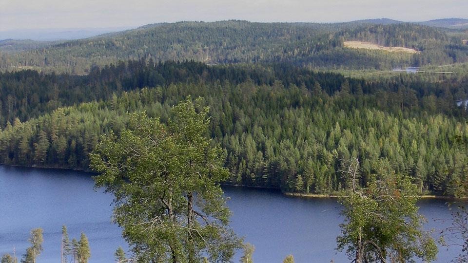 Bilden är tagen från en av de utsiktspunkter som finns i Lönnskog med vy över skogar och vattendrag. Sjön Björnklammen som ligger i Lönnskog ingår i Långseruds Fiskevårdsområde.