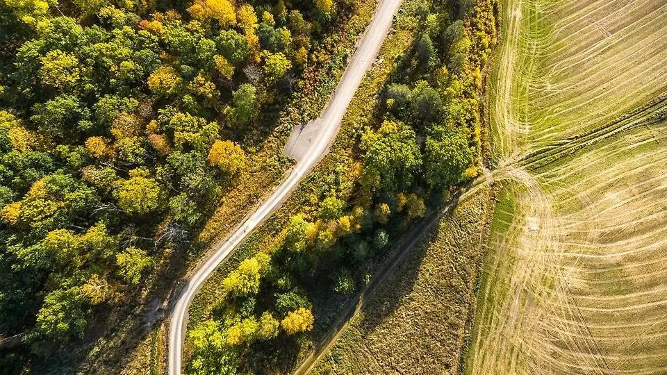 En drönarbild över en skogsväg om hösten